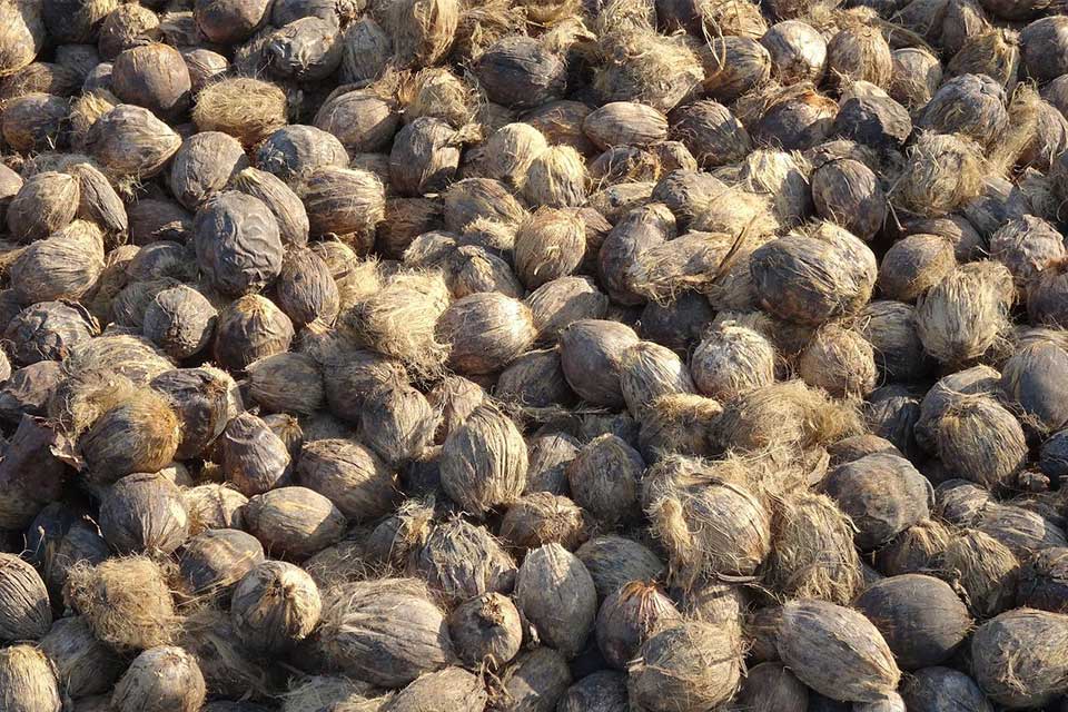Products – Othniel Dry Foods