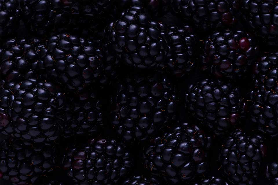 balckbeery-images