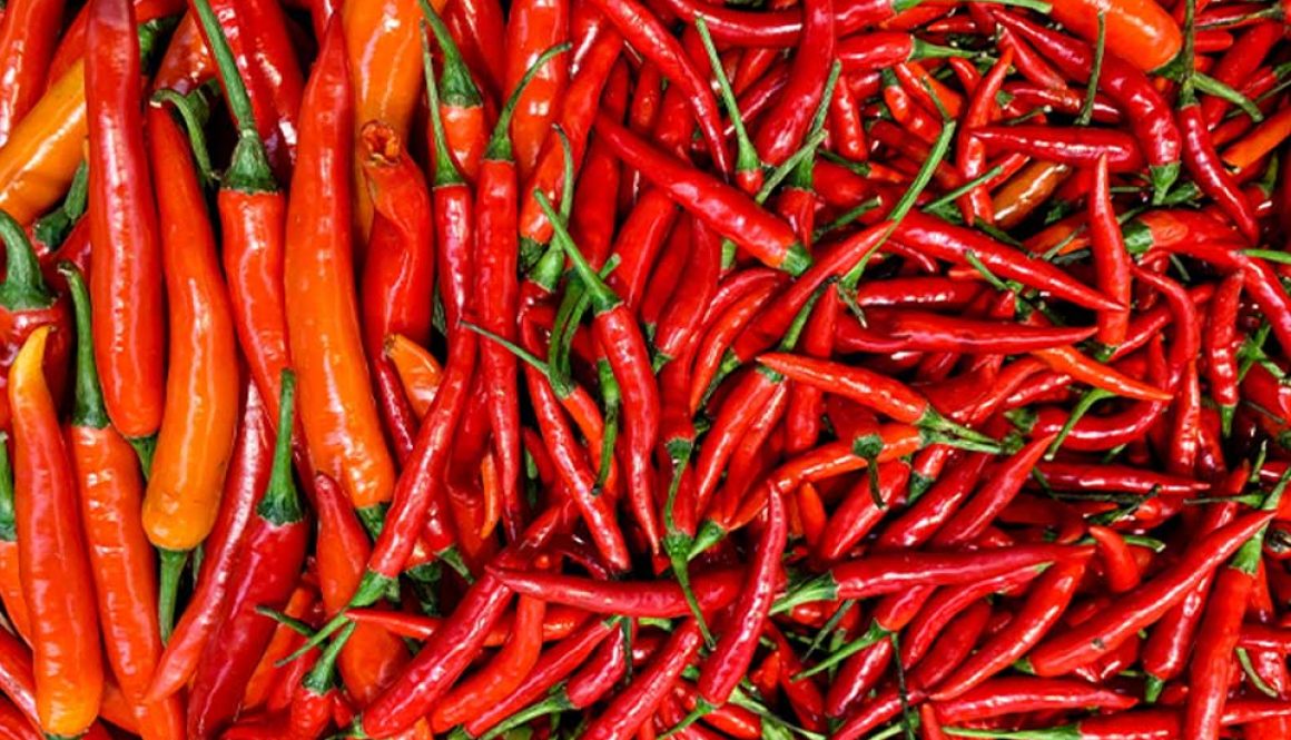 chilli-pepper-image
