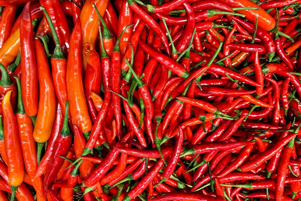 chilli-pepper-image