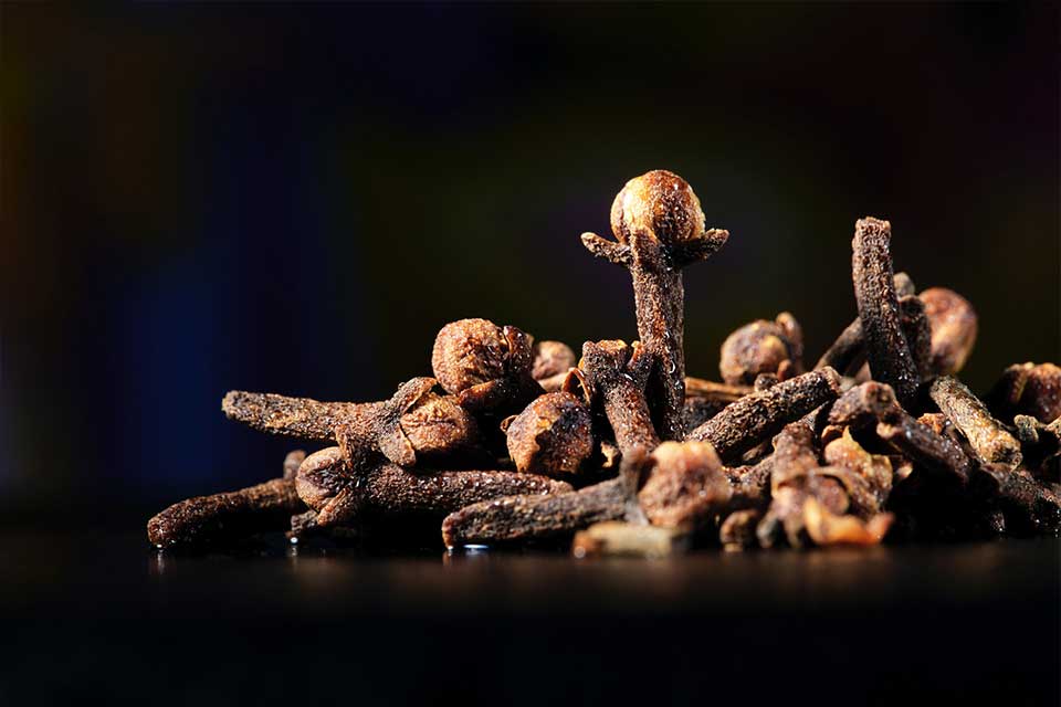 cloves-image