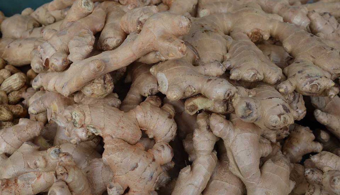 ginger-image
