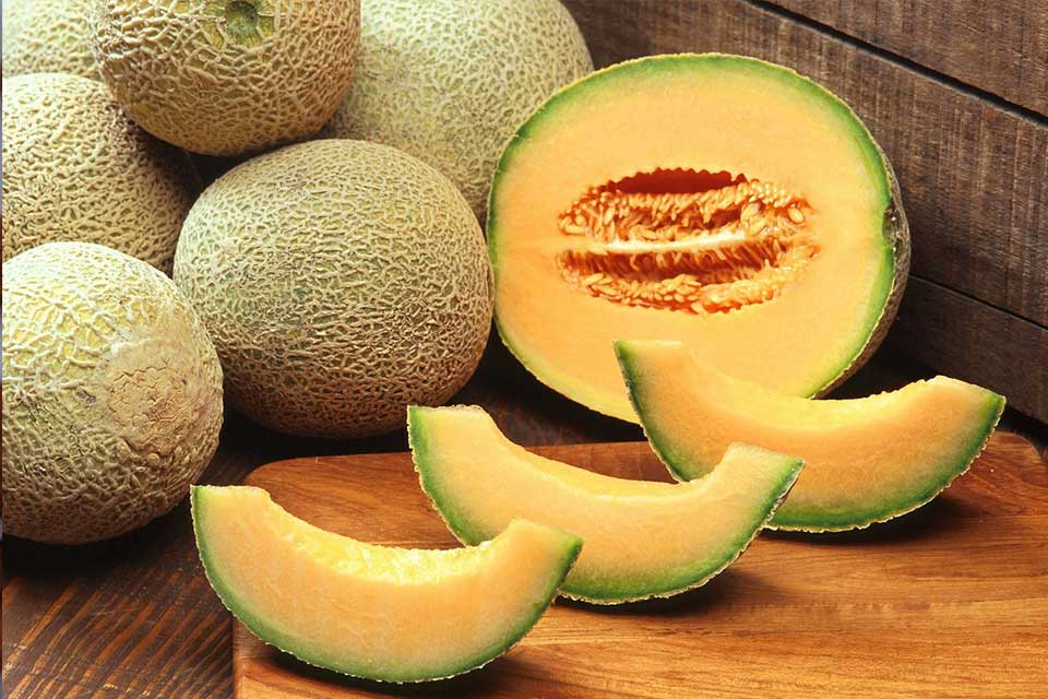 muskmelons-images