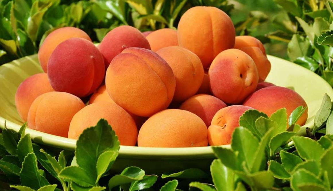 peaches-images