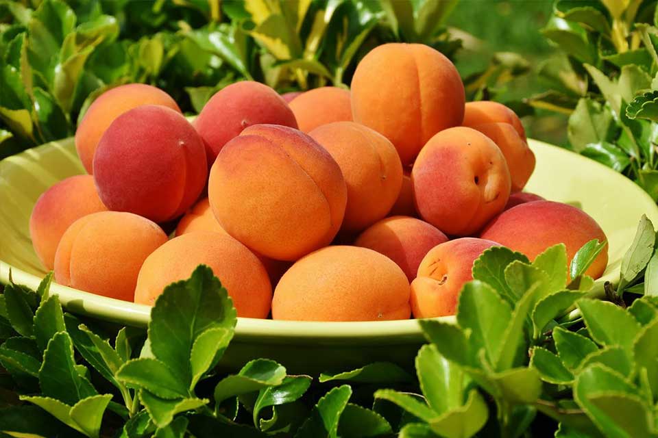 peaches-images