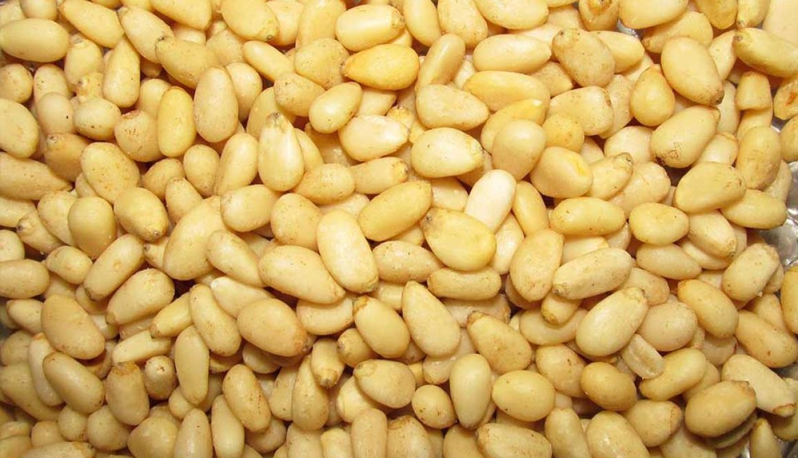 pine-nuts-images